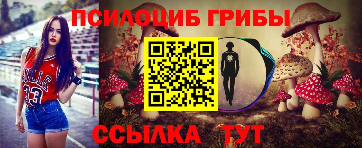 где продают наркотики  Вход с VPN  Серов  Псилоцибиновые грибы Magic Shrooms 